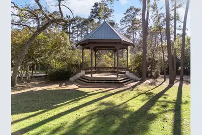 98 S Wilde Yaupon Court, The Woodlands, TX 77381 - Photo 47