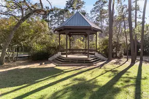 98 S Wilde Yaupon Ct, The Woodlands, TX 77381 - Photo 47