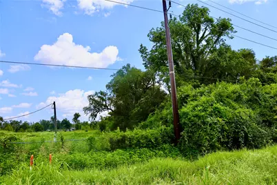 1462 Cr-39, Rosharon, TX 77583 - Photo 3