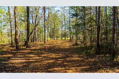 000 Barrett, Cleveland, TX 77327 - Photo 5