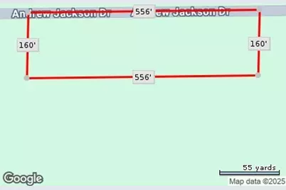 Tbd Andrew Jackson Drive, Livingston, TX 77351 - Photo 3