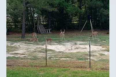 10366 Happy Trail, Conroe, TX 77384 - Photo 33