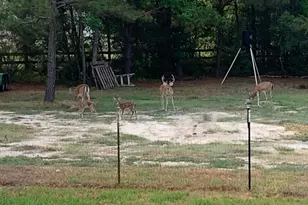 10366 Happy Trail, Conroe, TX 77384 - Photo 33