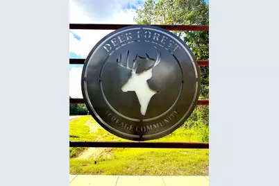 194 Iron Horse Road, New Waverly, TX 77358 - Photo 9