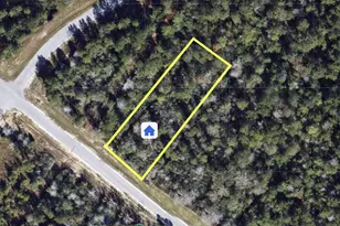 194 Iron Horse Rd, New Waverly, TX 77358 - Photo 1