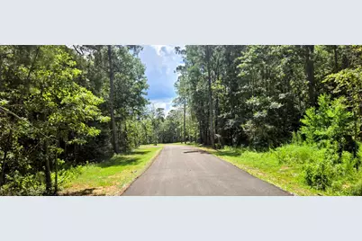 194 Iron Horse Road, New Waverly, TX 77358 - Photo 15