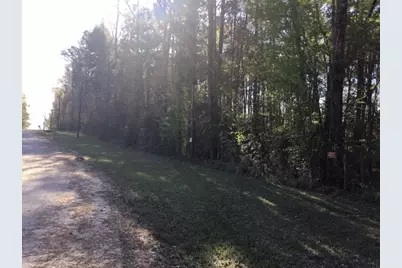310 Johnson Drive, Livingston, TX 77351 - Photo 5