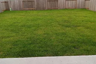 7837 Pink Dahlia Dr, Houston, TX 77016 - Photo 13