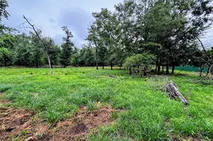 214 Mills Dr, Livingston, TX 77351 - Photo 35