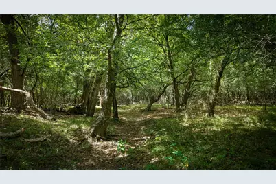 Tract 2 Tbd Mensik Rd, Bryan, TX 77808 - Photo 3
