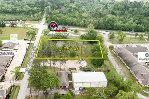 17427 W Strack Dr, Spring, TX 77379 - Photo 3