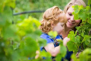 2723 Berry Basket Trl, Richmond, TX 77406 - Photo 17