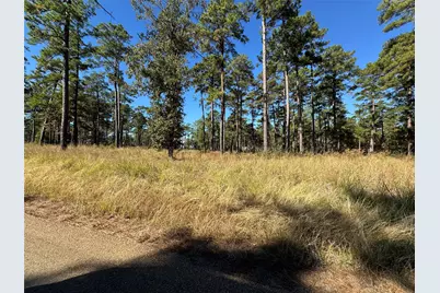 065 Private Road 6026, Brookeland, TX 75931 - Photo 7
