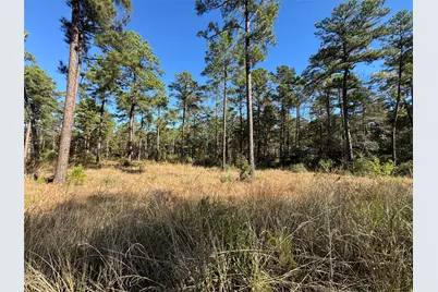 065 Private Road 6026, Brookeland, TX 75931 - Photo 11