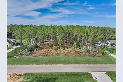 15929 Wood Grove Way, Willis, TX 77378 - Photo 11