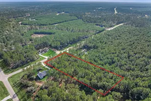 15929 Wood Grv Wy, Willis, TX 77378 - Photo 3