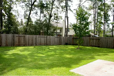 99 Bryce Branch Circle, The Woodlands, TX 77382 - Photo 11