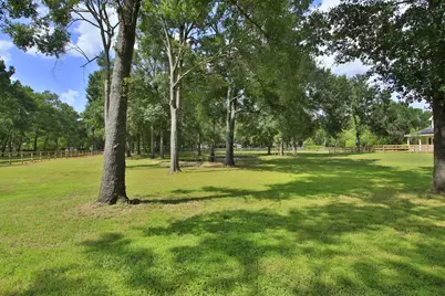 30820 Collier Smith Road, Magnolia, TX 77354 - Photo 3