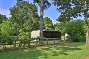 30820 Collier Smith Rd, Magnolia, TX 77354 - Photo 47