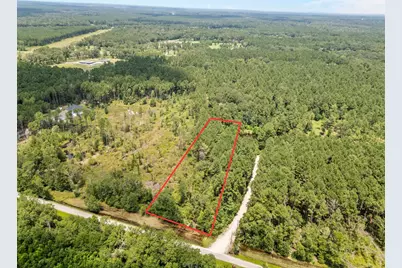 Tbd Pelican Road, Shepherd, TX 77371 - Photo 3