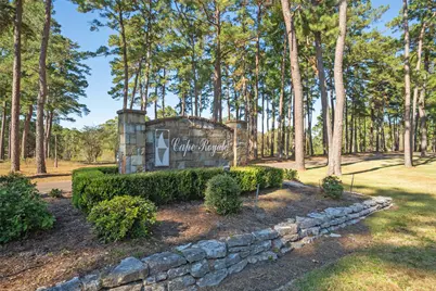 110 Lords Circle, Coldspring, TX 77331 - Photo 29