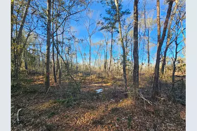 Lot 3 Sherwood Drive, Shepherd, TX 77371 - Photo 19