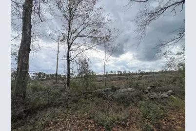 1 County Road 3038, Newton, TX 75966 - Photo 5