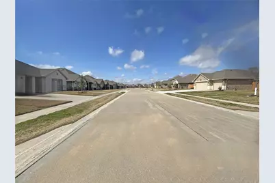 10250 Whitney Reach Drive, Rosharon, TX 77583 - Photo 3