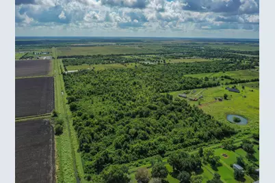 Tr 3 Fm 1462, Rosharon, TX 77583 - Photo 9