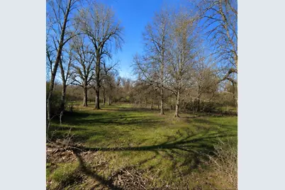 0 Hilltop Road, Kendleton, TX 77435 - Photo 3