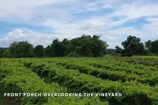 231 Hostetter Rd, New Waverly, TX 77358 - Photo 13