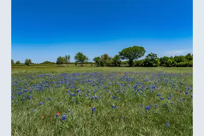 Tbd W Fm 1291 Tract 1, Round Top, TX 78954 - Photo 7
