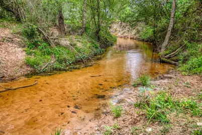 2204 Carter Rd, Bellville, TX 77418 - Photo 25