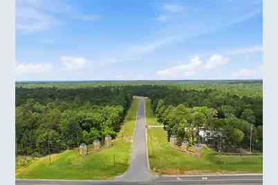222 Hollow Hill Drive, New Waverly, TX 77340 - Photo 13