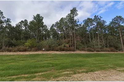 15729 Forest Grove Drive, Willis, TX 77378 - Photo 3