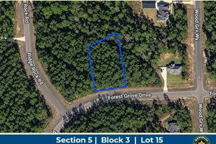 15729 Frst Grv Dr, Willis, TX 77378 - Photo 1