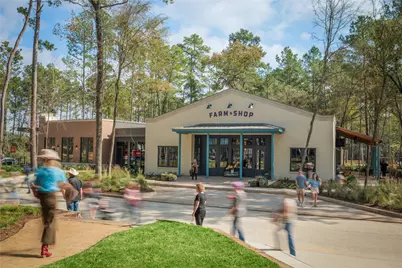 7806 Longhorn Ballroom Drive, Montgomery, TX 77316 - Photo 7