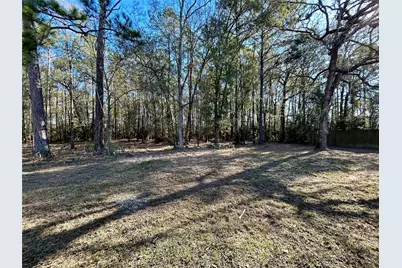 16327 Lone Star Ranch Drive, Conroe, TX 77302 - Photo 23