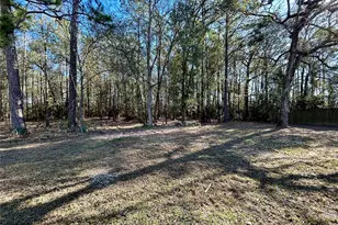 16327 Lone Star Ranch Dr, Conroe, TX 77302 - Photo 23