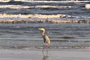 13130 Gulf Beach Dr, Freeport, TX 77541 - Photo 37