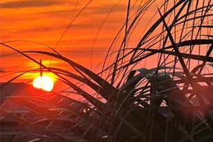 13130 Gulf Beach Dr, Freeport, TX 77541 - Photo 39