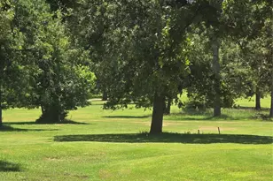 26621 Orchid Ct, Huntsville, TX 77320 - Photo 9