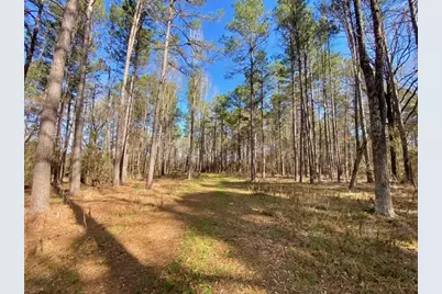 Tbd Fm 227, Kennard, TX 75847 - Photo 27