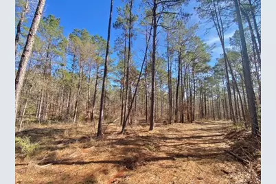 Tbd Fm 227, Kennard, TX 75847 - Photo 31