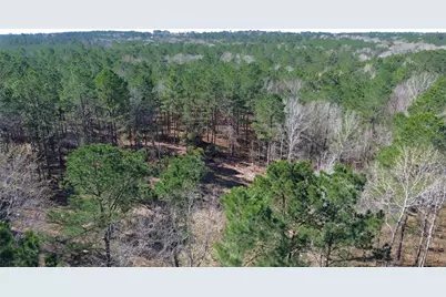 Tbd Fm 227, Kennard, TX 75847 - Photo 19