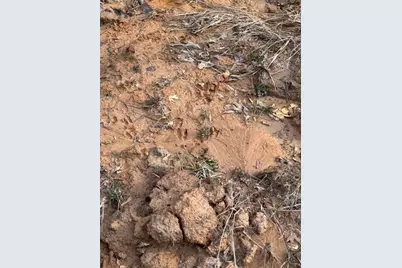 Tbd Fm 227, Kennard, TX 75847 - Photo 35