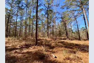 Tbd Fm 227, Kennard, TX 75847 - Photo 33