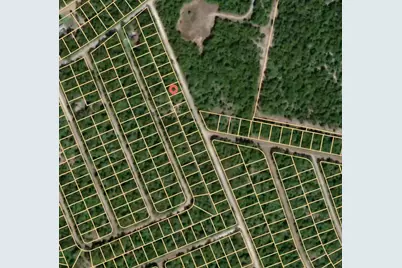 Lot 8 Hickory Ridge Drive, Normangee, TX 77871 - Photo 3