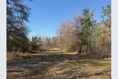 747 County Road 3556, Cleveland, TX 77327 - Photo 9