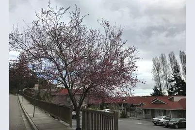 525 Perry Pl, Friday Harbor, WA 98250 - Photo 3